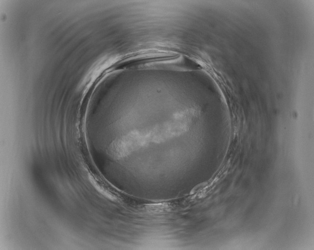 X0000066520050200603201334