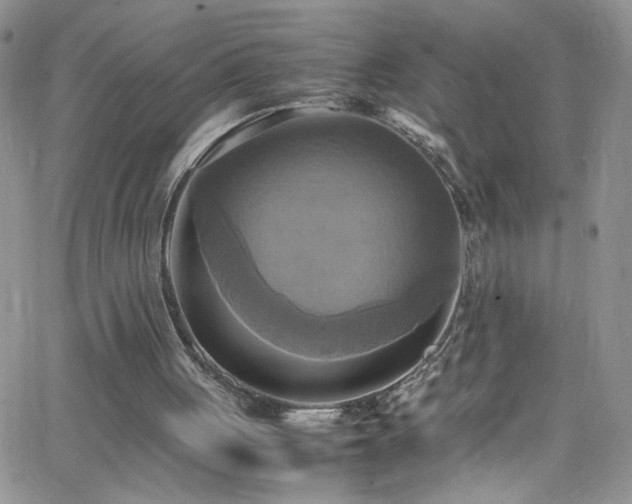 X0000066520051200603201334