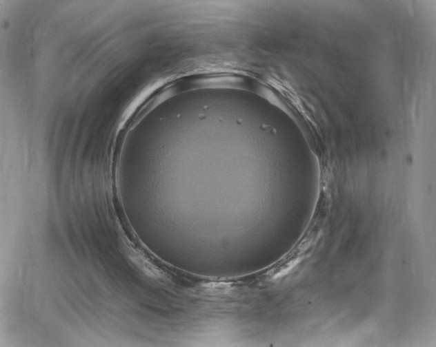 X0000066520052200603201334