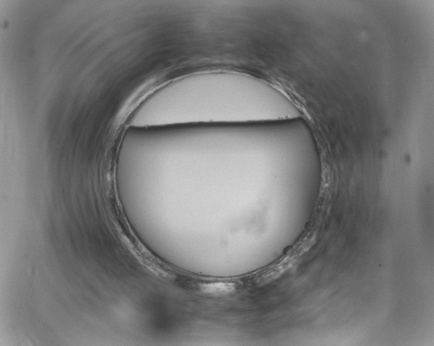 X0000066520053200603201334