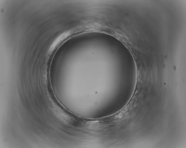 X0000066520054200603201334