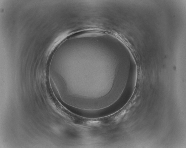 X0000066520055200603201334