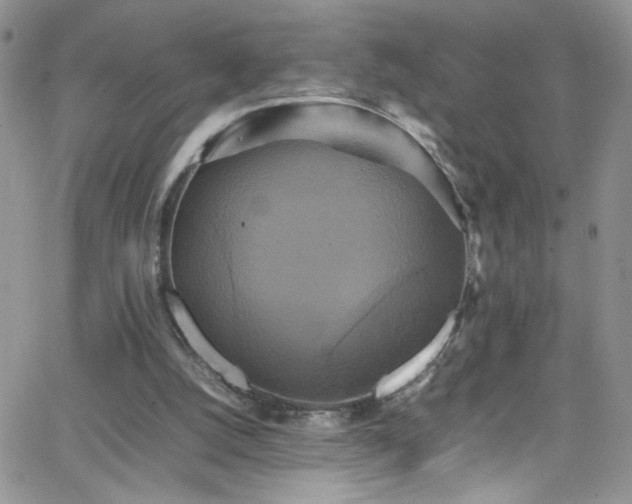 X0000066520056200603201334