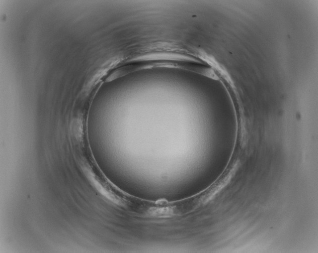 X0000066520057200603201334