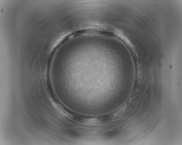 X0000066520058200603201334