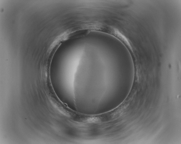 X0000066520059200603201334