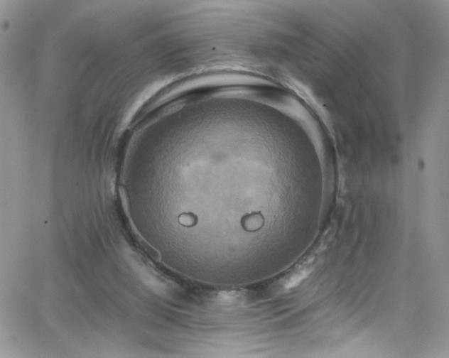 X0000066520060200603201334