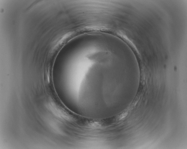 X0000066520062200603201334