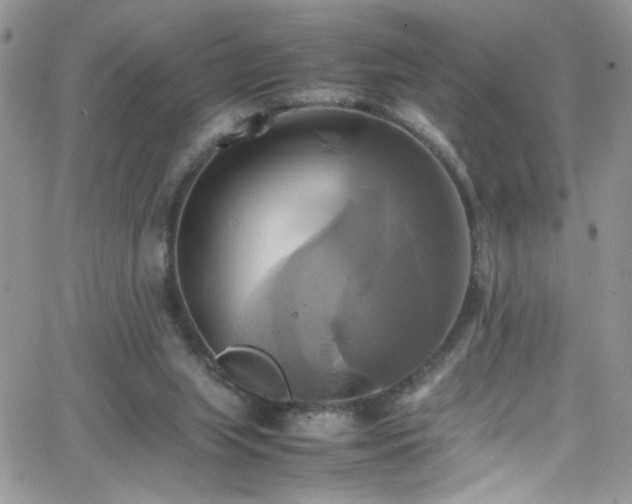 X0000066520063200603201334