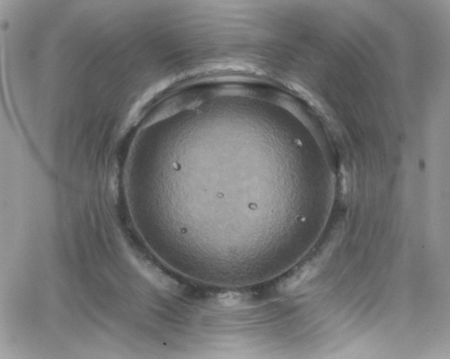 X0000066520064200603201334