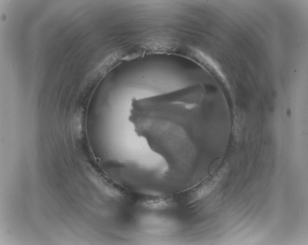 X0000066520065200603201334