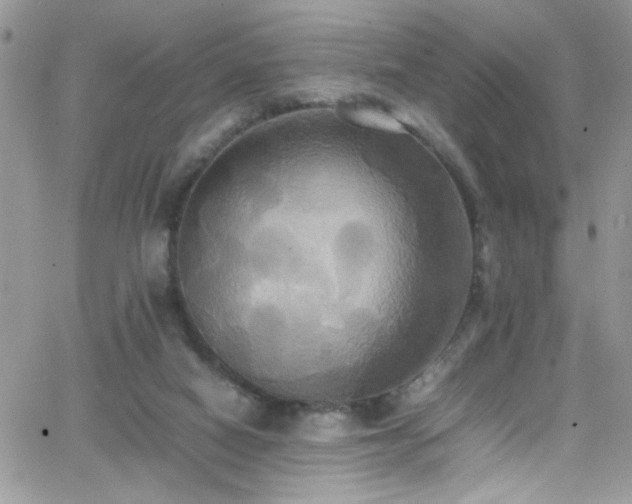 X0000066520066200603201334