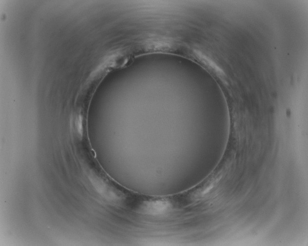 X0000066520067200603201334