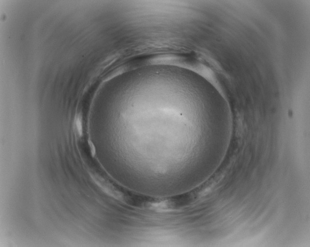 X0000066520068200603201334