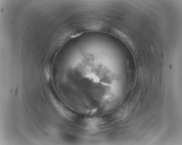 X0000066520069200603201334