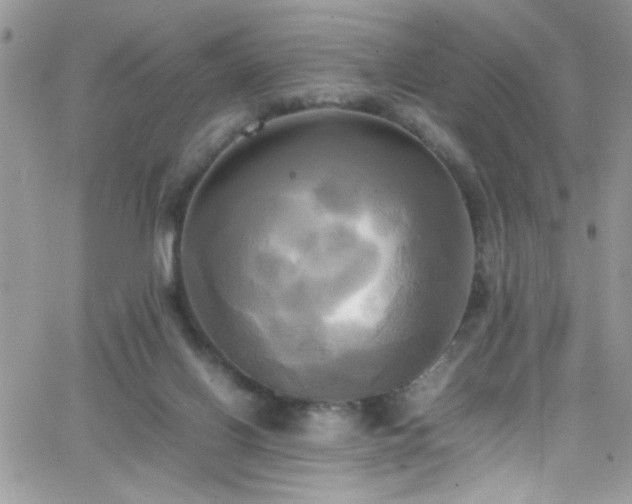 X0000066520070200603201334