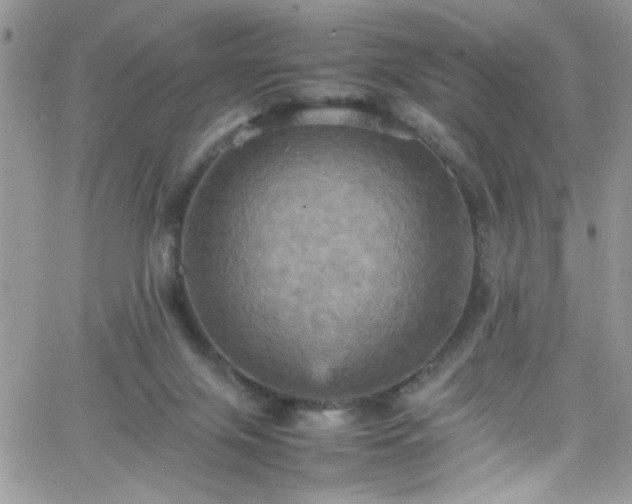 X0000066520071200603201334