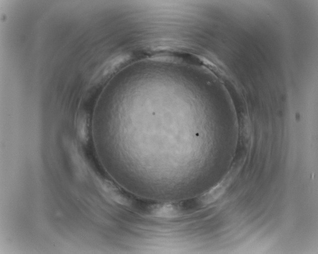 X0000066520074200603201334