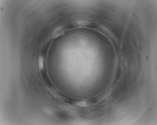 X0000066520075200603201334