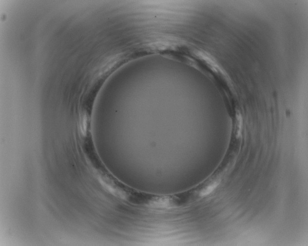 X0000066520076200603201334