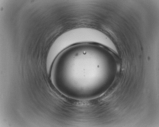 X0000066520077200603201334