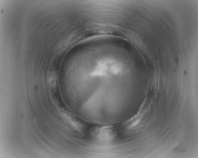 X0000066520078200603201334