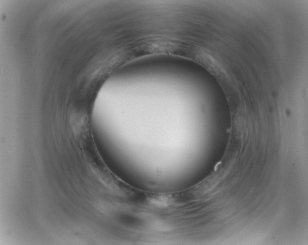 X0000066520079200603201334