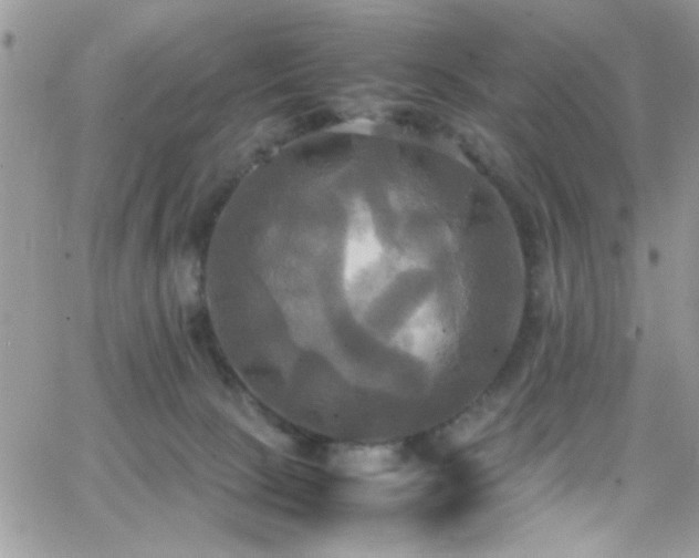 X0000066520081200603201334