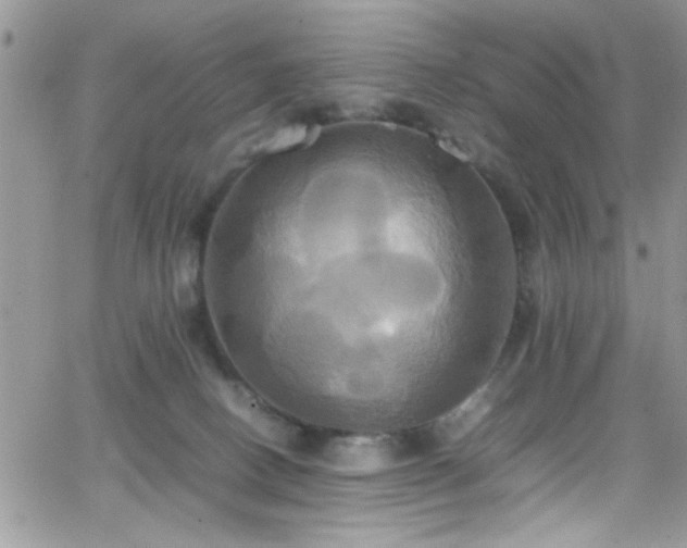 X0000066520082200603201334