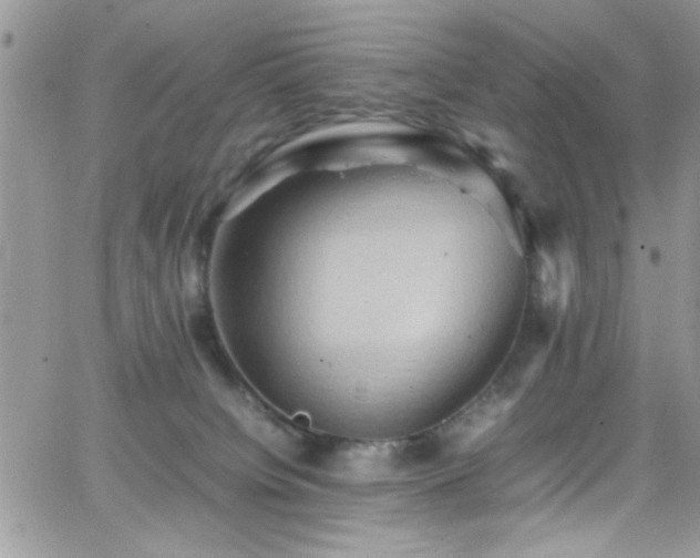 X0000066520084200603201334