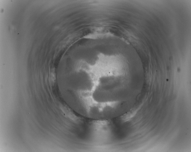 X0000066520085200603201334