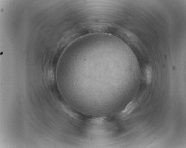 X0000066520086200603201334