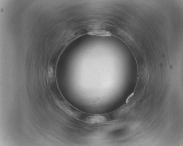 X0000066520087200603201334