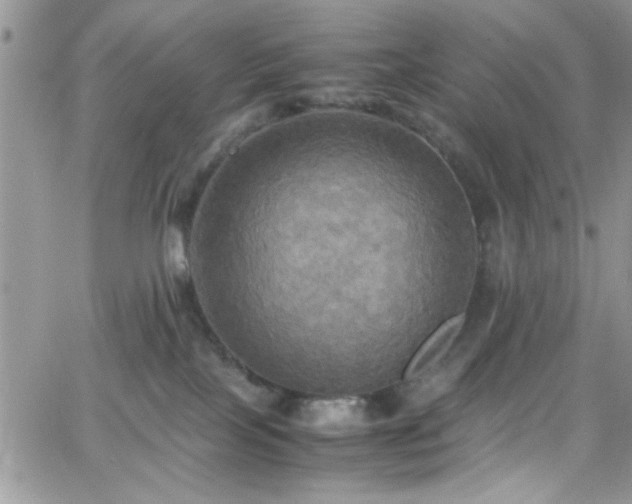 X0000066520089200603201334