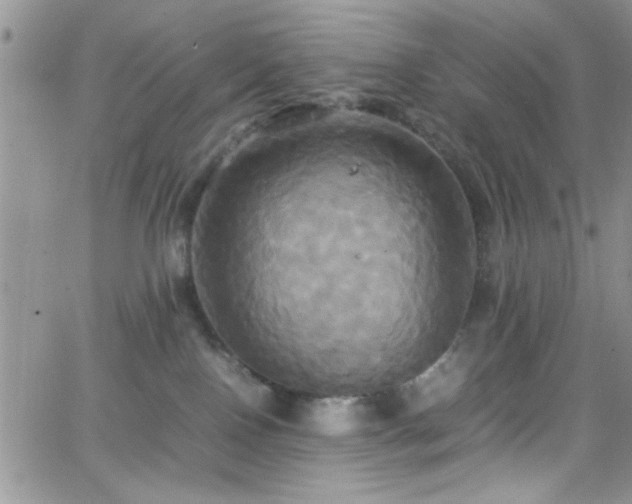 X0000066520090200603201334