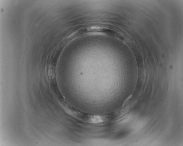 X0000066520091200603201334