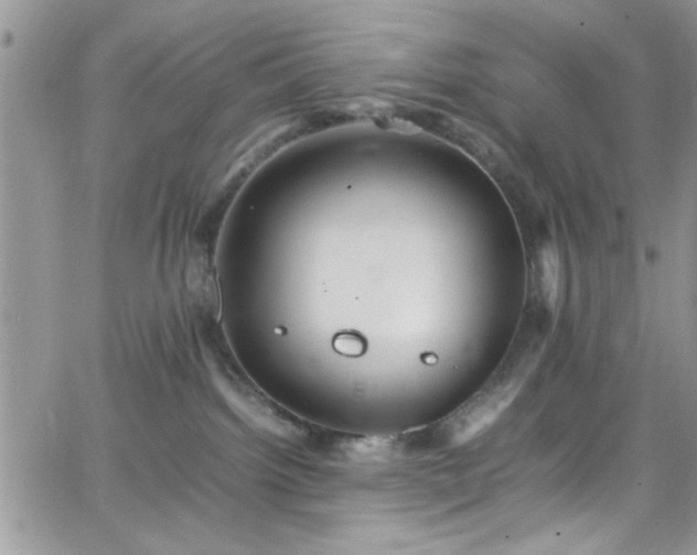 X0000066520092200603201334