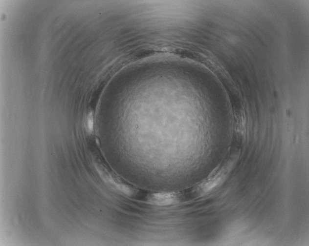 X0000066520095200603201334