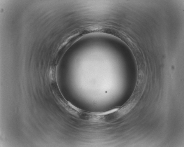 X0000066520096200603201334