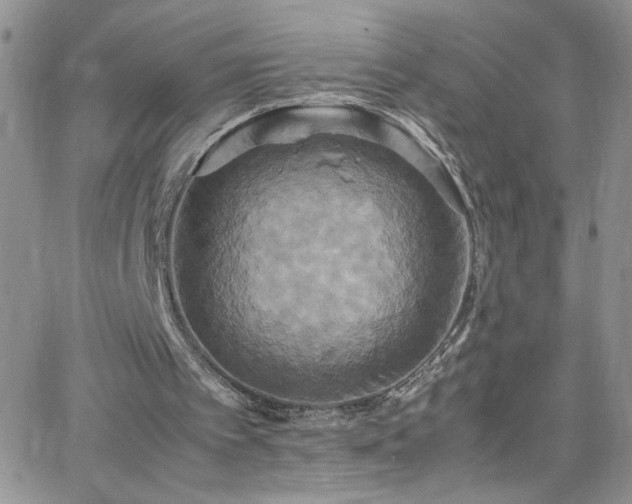 X0000066520097200603201334