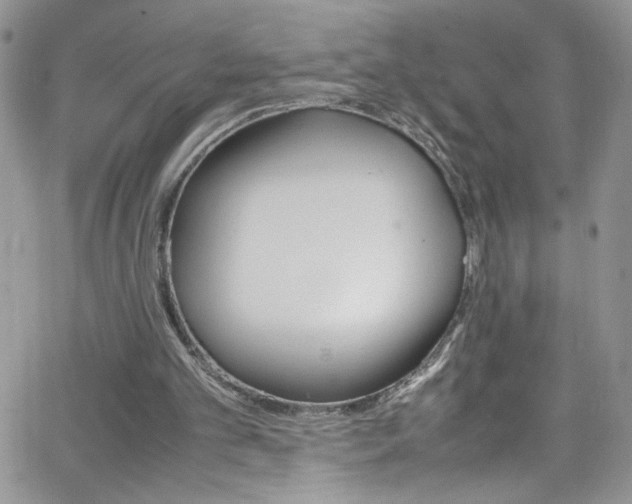 X0000066520101200603201334