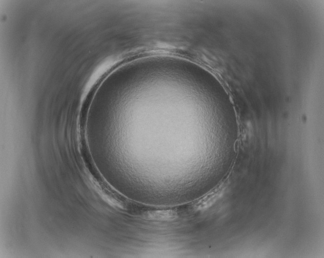 X0000066520102200603201334