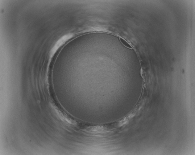 X0000066520104200603201334