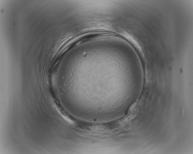 X0000066520105200603201334