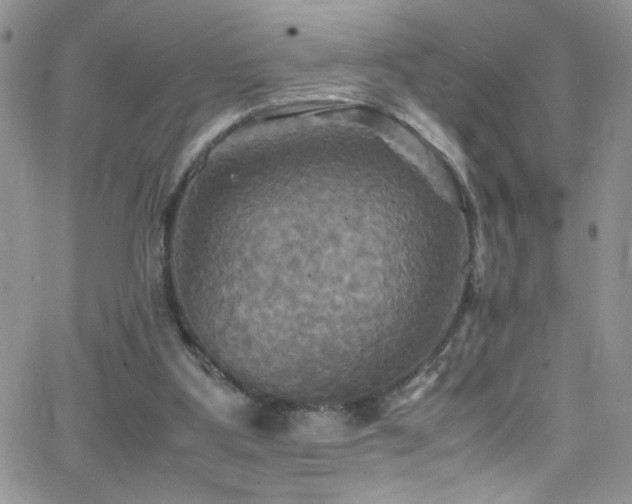 X0000066520107200603201334