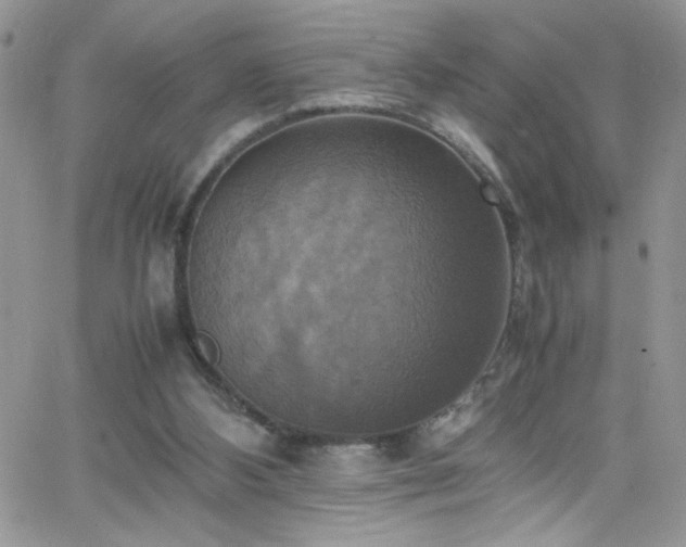 X0000066520108200603201334