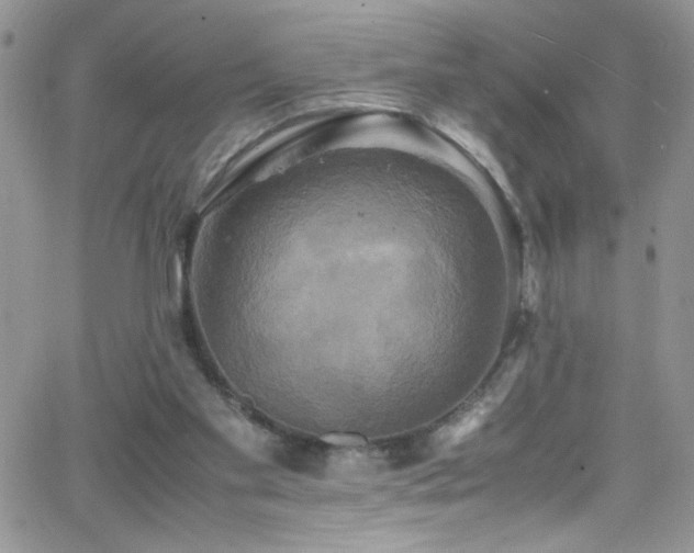 X0000066520109200603201333