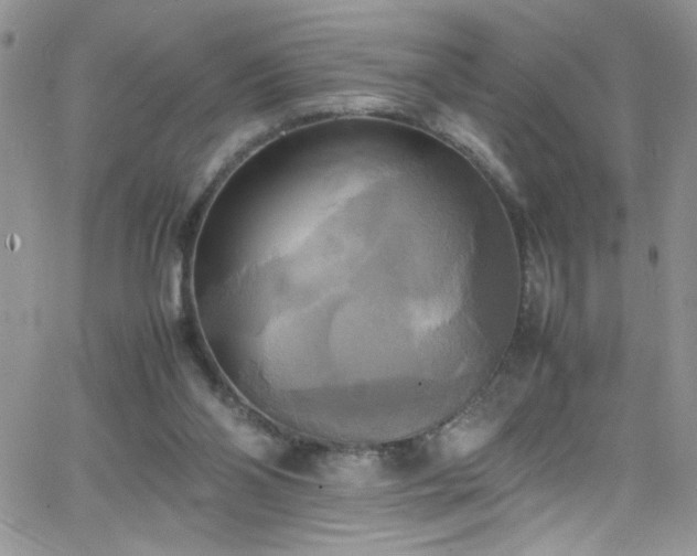 X0000066520110200603201333