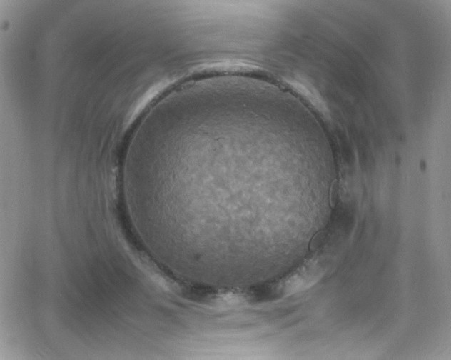 X0000066520111200603201333