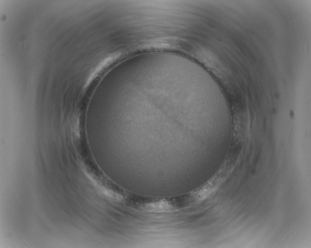 X0000066520112200603201333